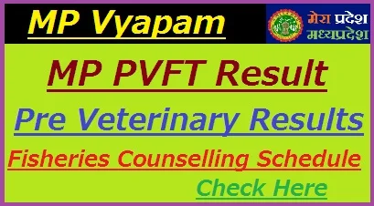 MP PV & FT Test Results 2019