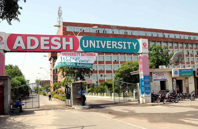 Adesh University Result