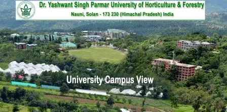 Dr Y S Parmar University Result