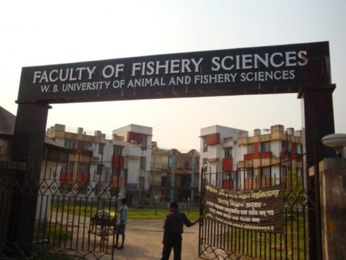 WBUAFS Result, Cutoff, Merit List 2023 , West Bengal University of Animal  and Fishery Sciences Results - Golden Era Education